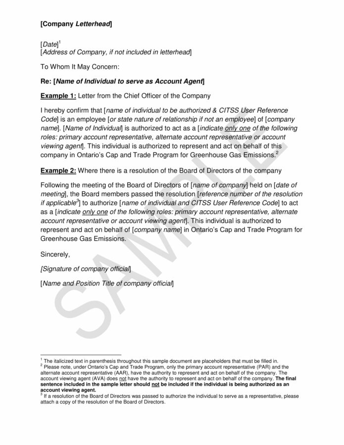 Authorization to proceed form template