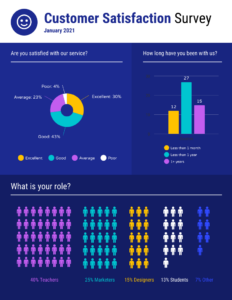 customer-satisfaction-survey-action-plan-template