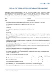 internal-audit-preliminary-survey-template