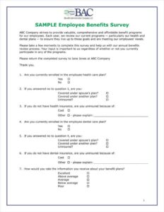 wage-and-benefit-survey-template