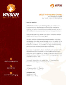 non-profit-donation-request-template