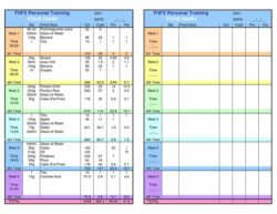 7-day-food-log-template