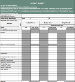 Public Health Program Budget Template public-health-program-budget-template